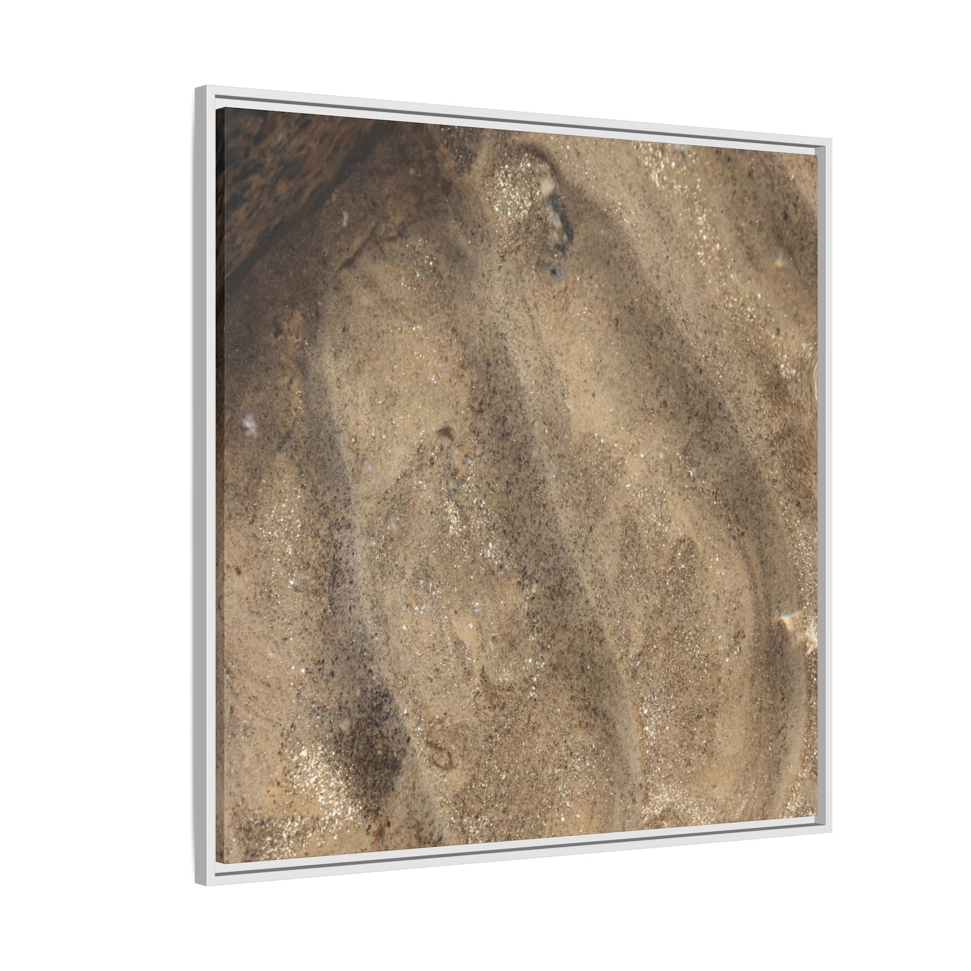 Tidal Pool Secrets - Unique Stretched Canvas Wall Art - Art By Earth