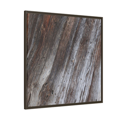 Aged Timber Texture - Unique Stretched Canvas Wall Art - Art By Earth