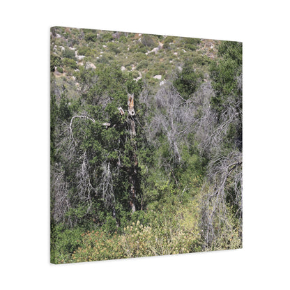 Drought-Stricken Forest - Unique Frameless Canvas Wall Art