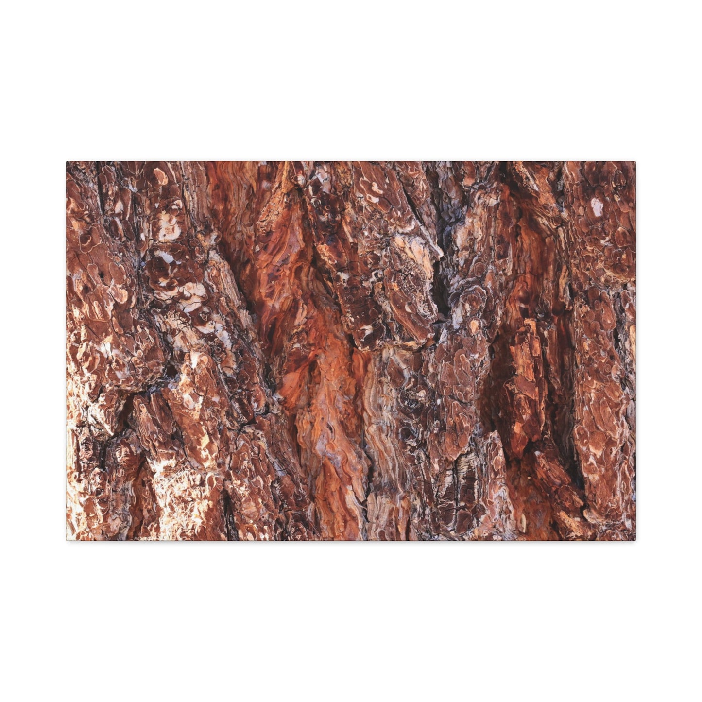 Rust and Ridges - Unique Frameless Canvas Wall Art