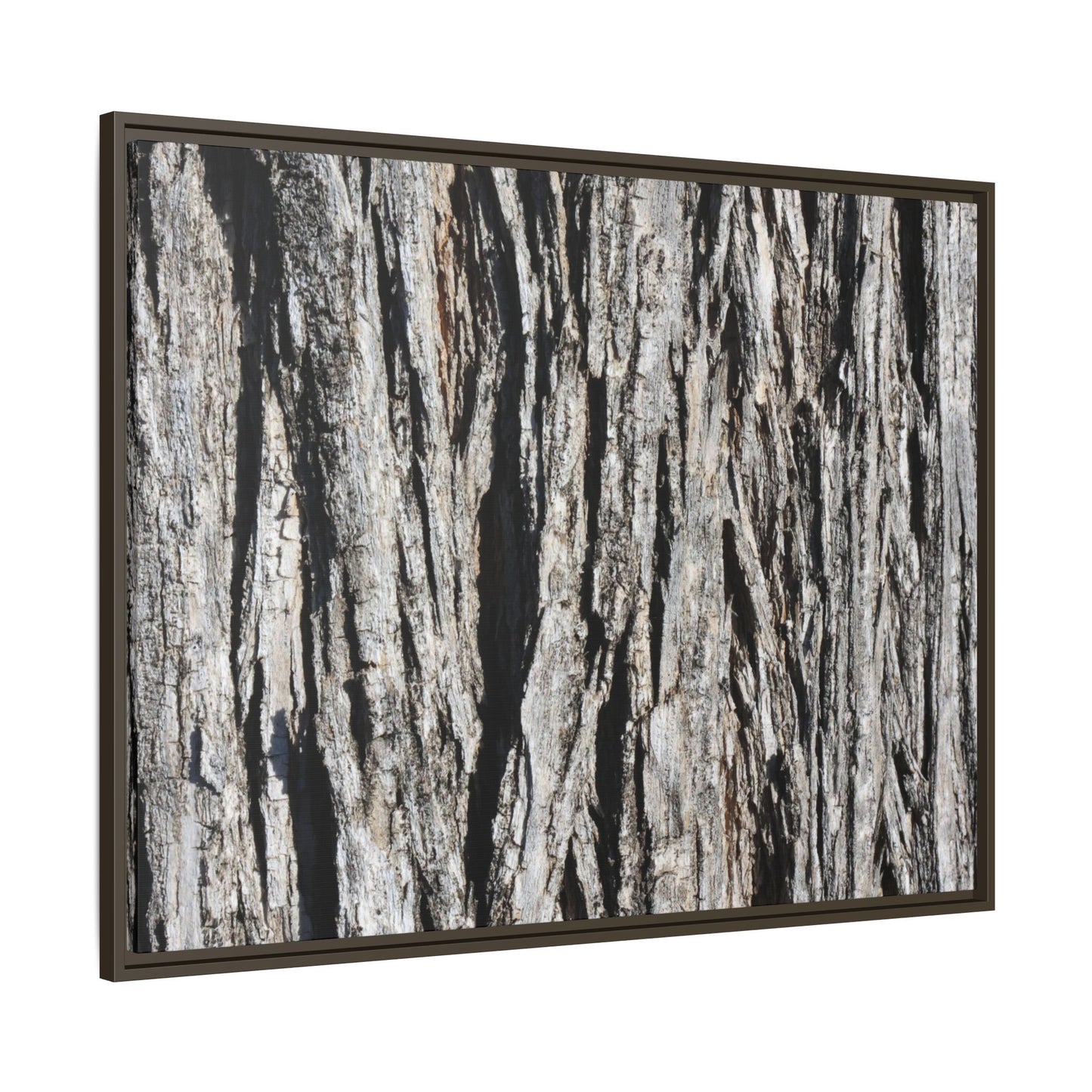 Bark Lines - Unique Stretched Canvas Wall Art - Art By Earth