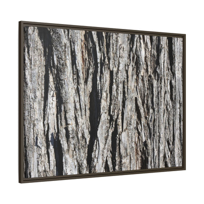 Bark Lines - Unique Stretched Canvas Wall Art - Art By Earth