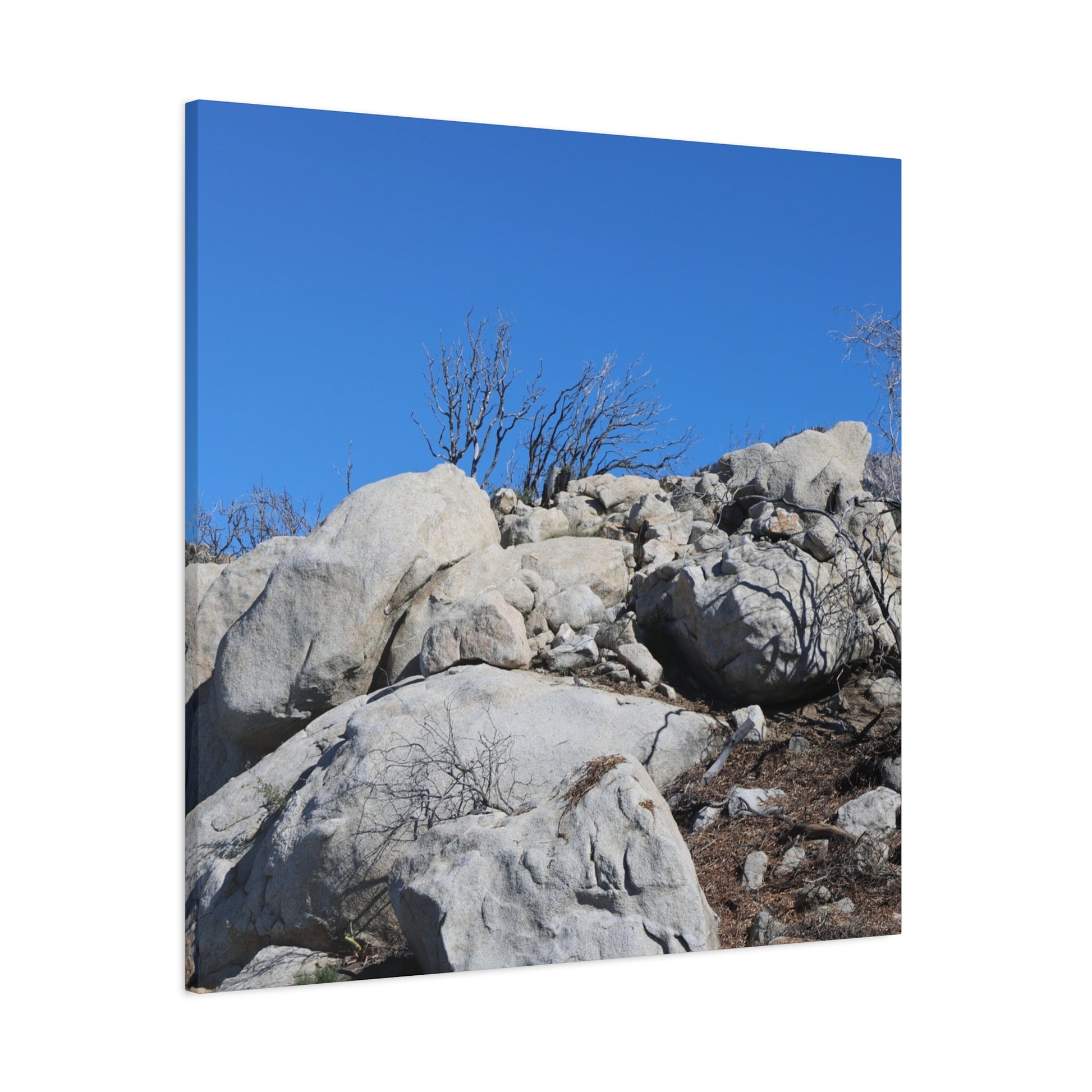 Desert Rocks Under Blue Sky - Unique Frameless Canvas Wall Art - Art By Earth