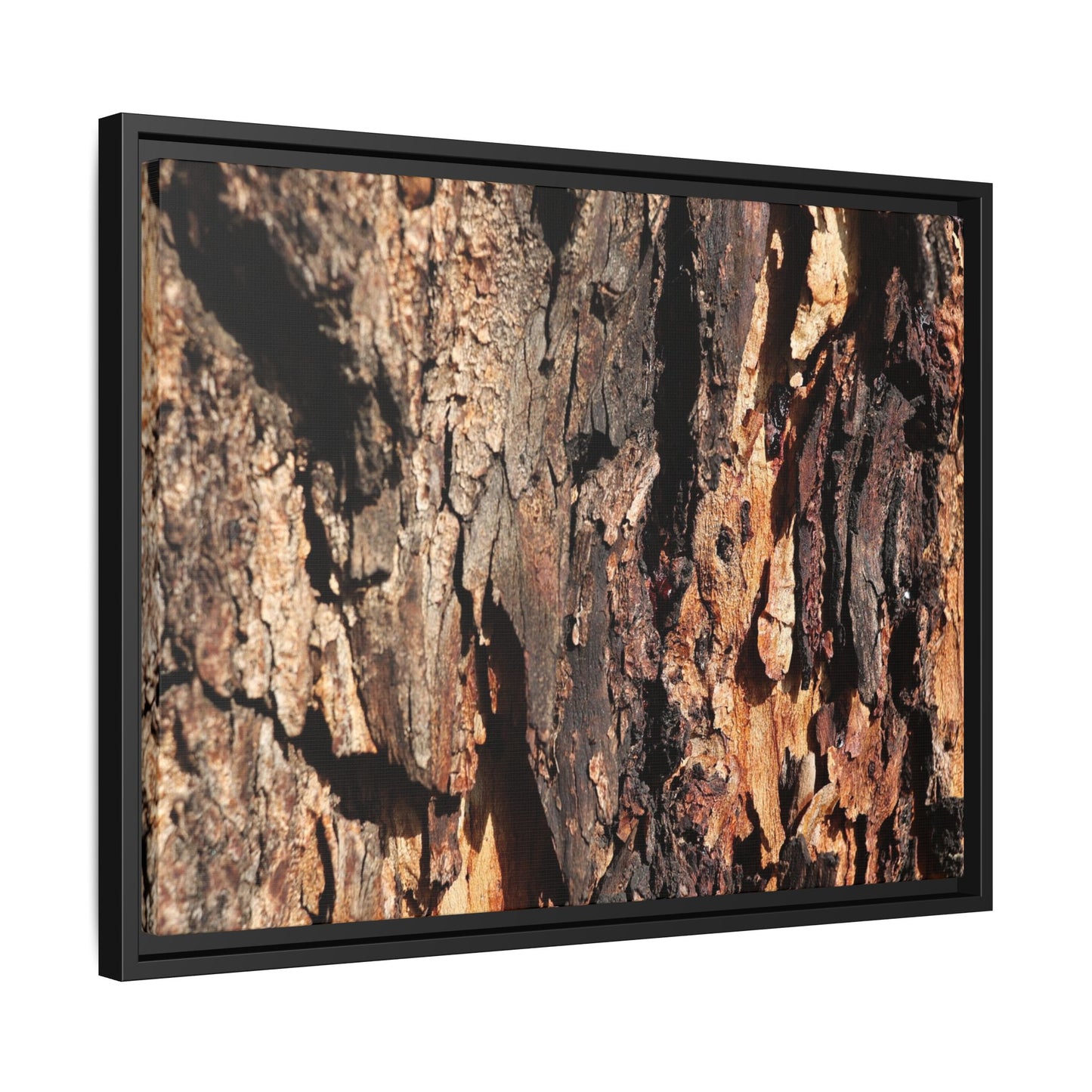Rugged Beauty - Unique Stretched Canvas Wall Art - Art By Earth