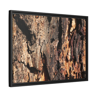 Rugged Beauty - Unique Stretched Canvas Wall Art - Art By Earth
