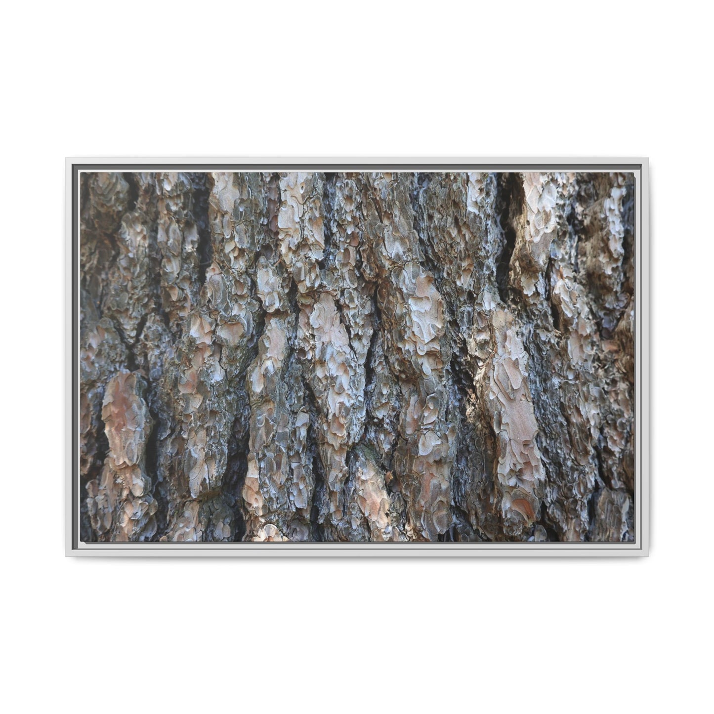 Bark Whispers - Unique Stretched Canvas Wall Art - Art By Earth