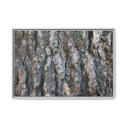 Bark Whispers - Unique Stretched Canvas Wall Art - Art By Earth