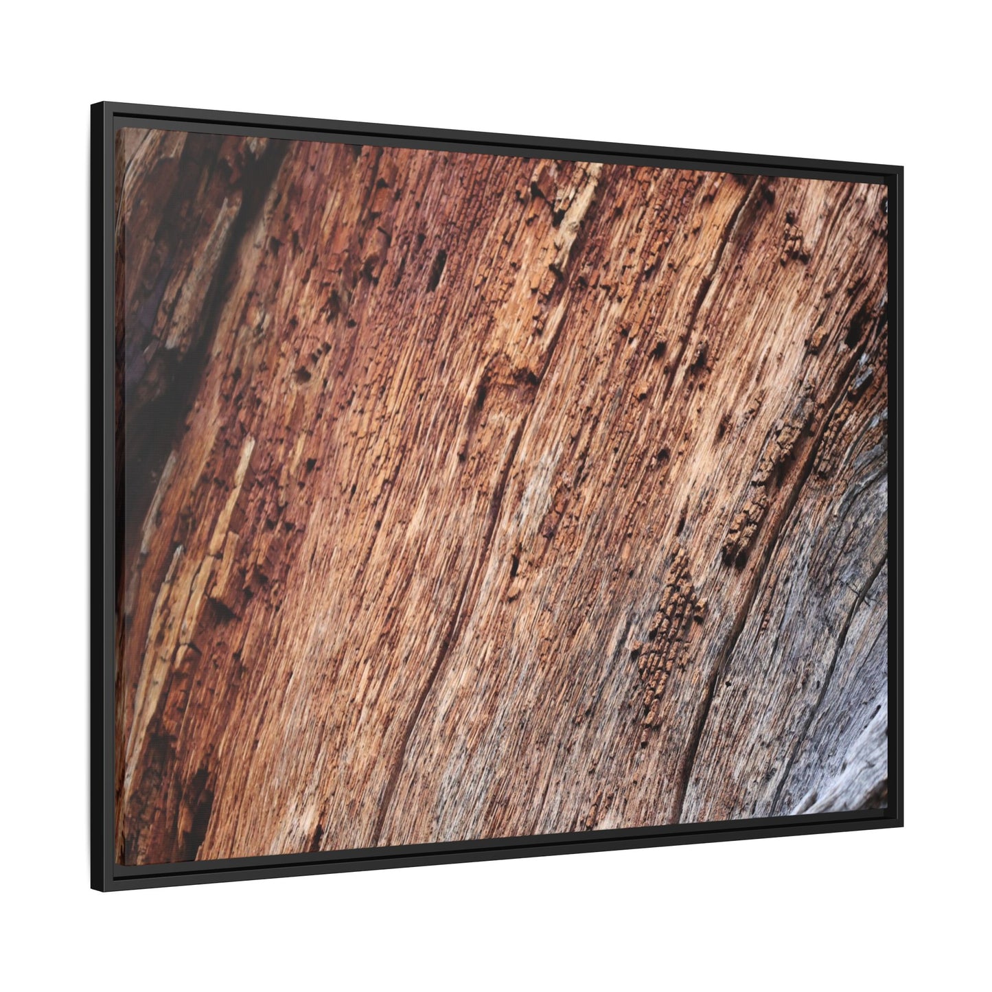 Time's Mark - Unique Stretched Canvas Wall Art - Art By Earth