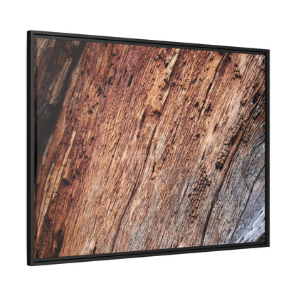 Time's Mark - Unique Stretched Canvas Wall Art - Art By Earth