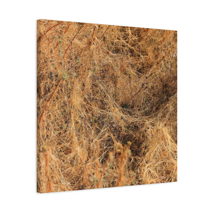 Dried Grasses - Unique Frameless Canvas Wall Art - Art By Earth