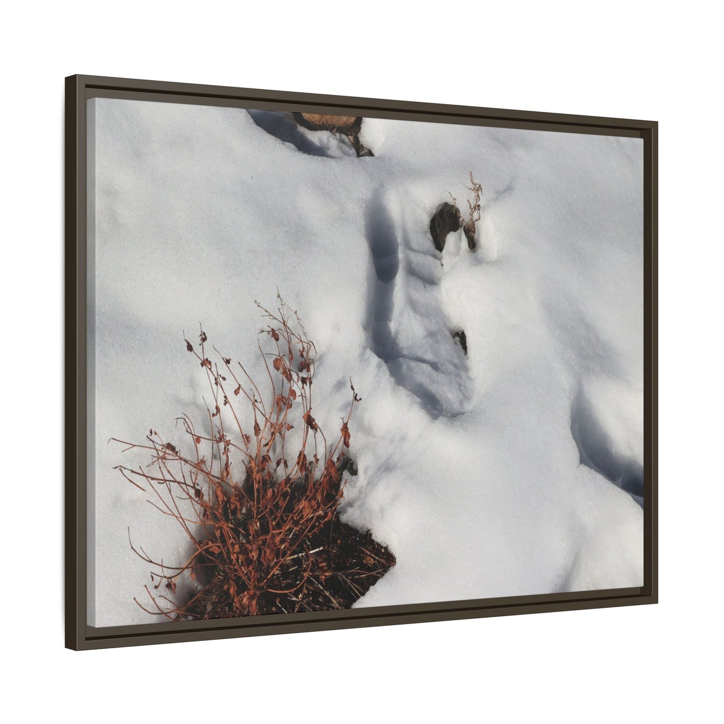 Frostbound Whispers - Unique Stretched Canvas Wall Art