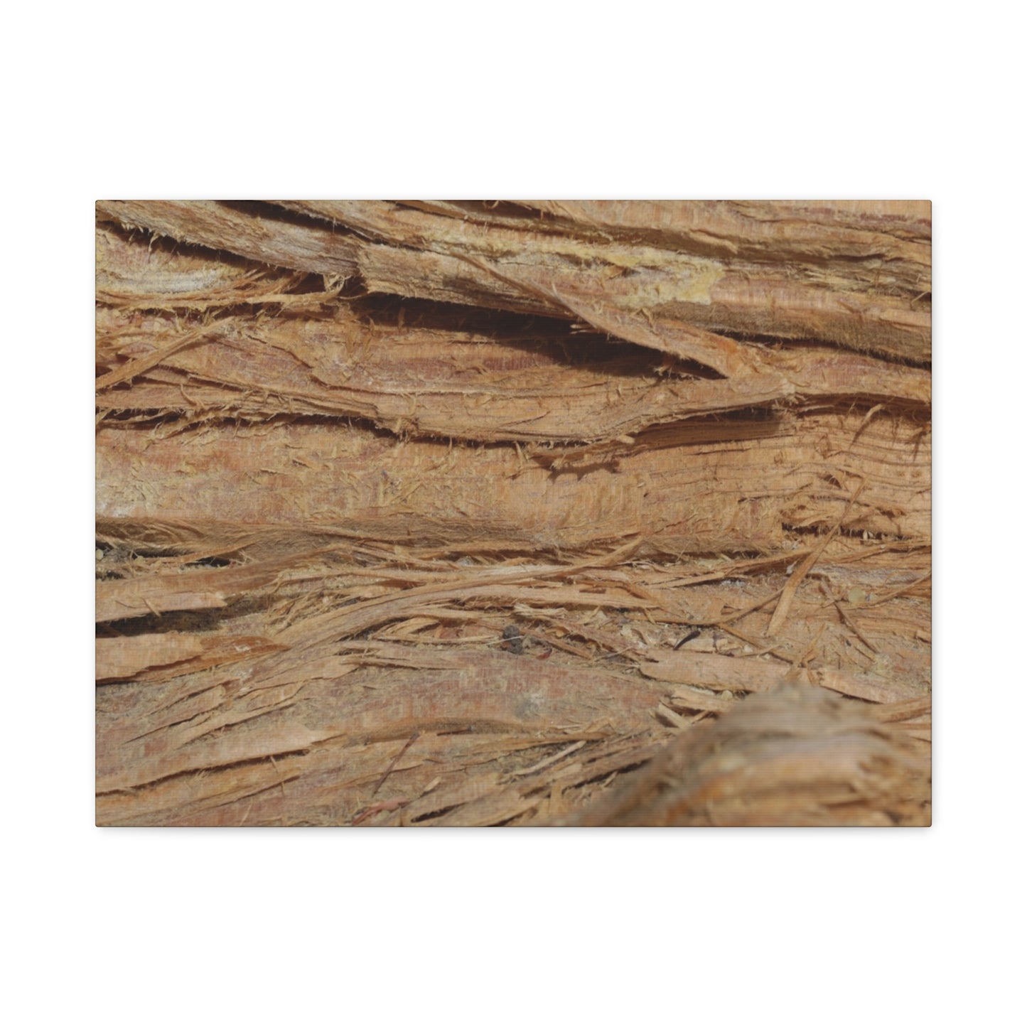 Layers of Memory - Unique Frameless Canvas Wall Art - Art By Earth