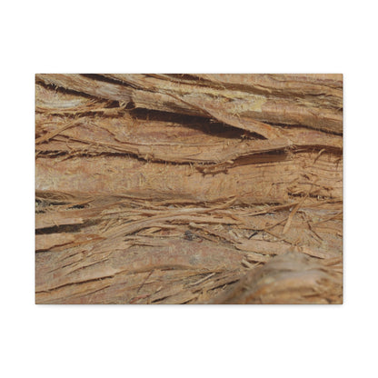 Layers of Memory - Unique Frameless Canvas Wall Art - Art By Earth