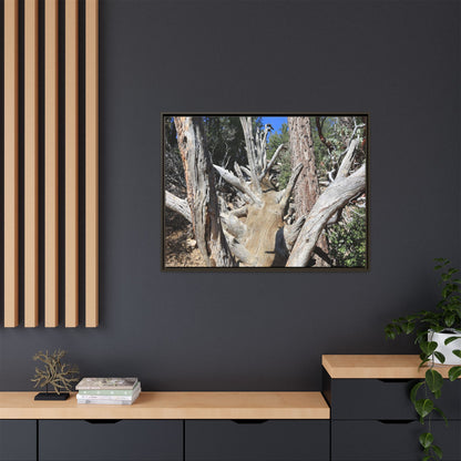 Forest Sentinels - Unique Stretched Canvas Wall Art