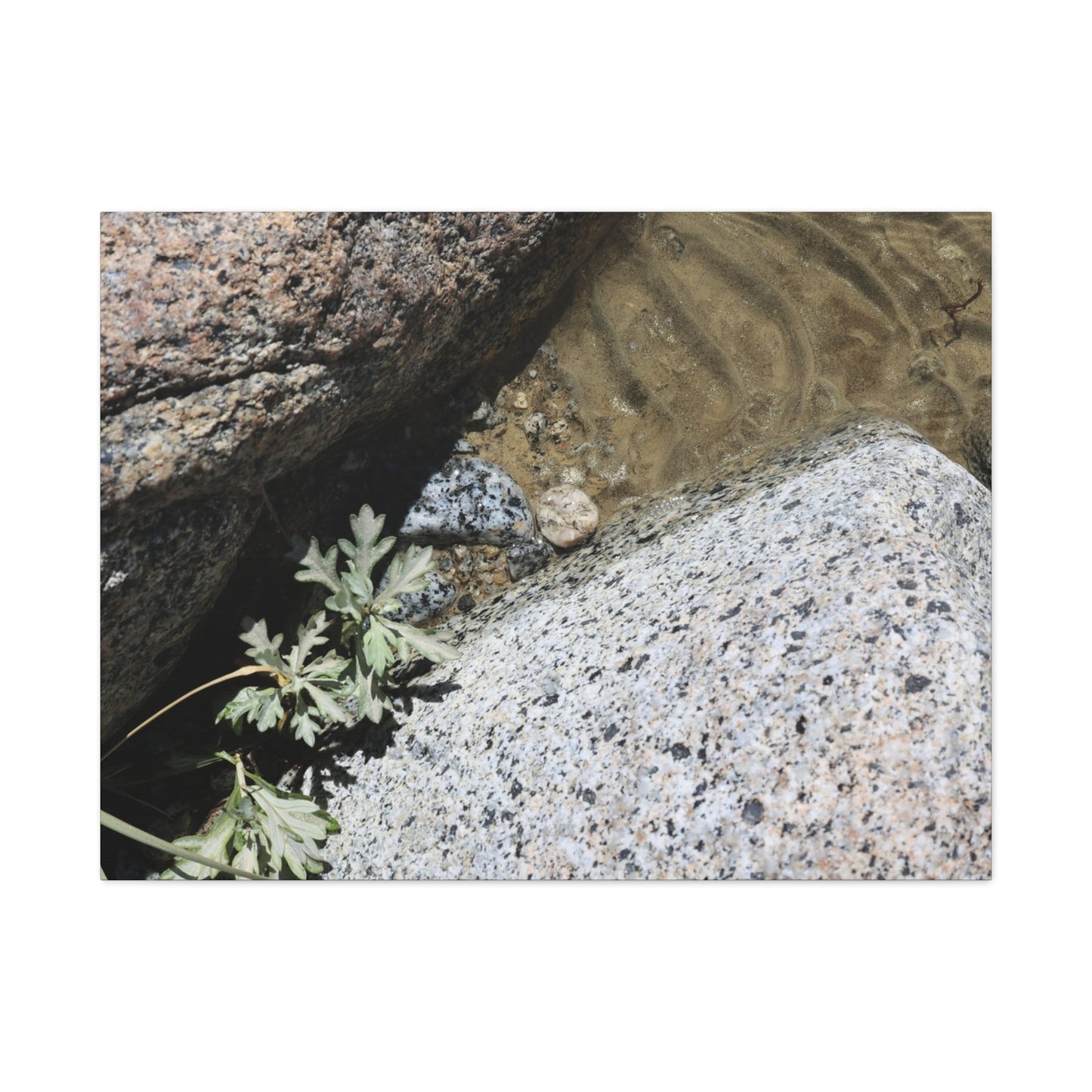 Between Stone and Sand - Unique Frameless Canvas Wall Art - Art By Earth