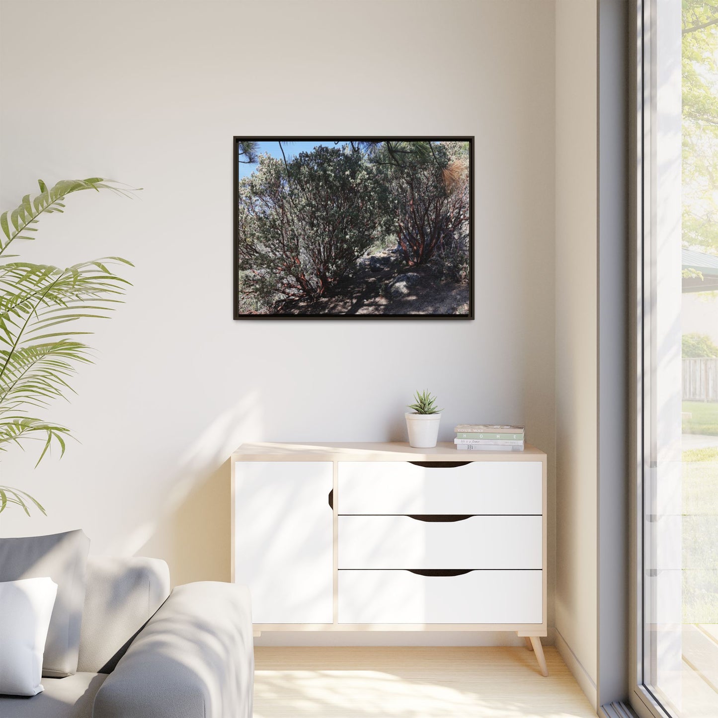 Desert Trail Through Blooming Manzanita - Unique Stretched Canvas Wall Art