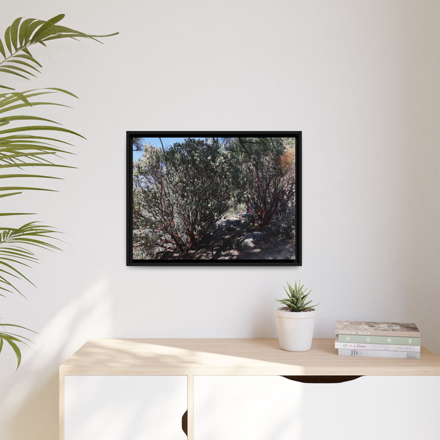 Desert Trail Through Blooming Manzanita - Unique Stretched Canvas Wall Art