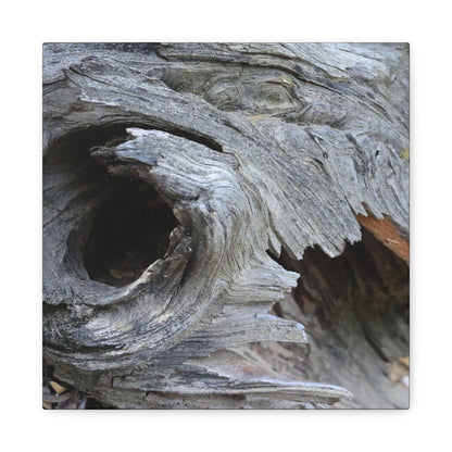 Twisted Whispers of the Forest Floor - Unique Frameless Canvas Wall Art - Art By Earth