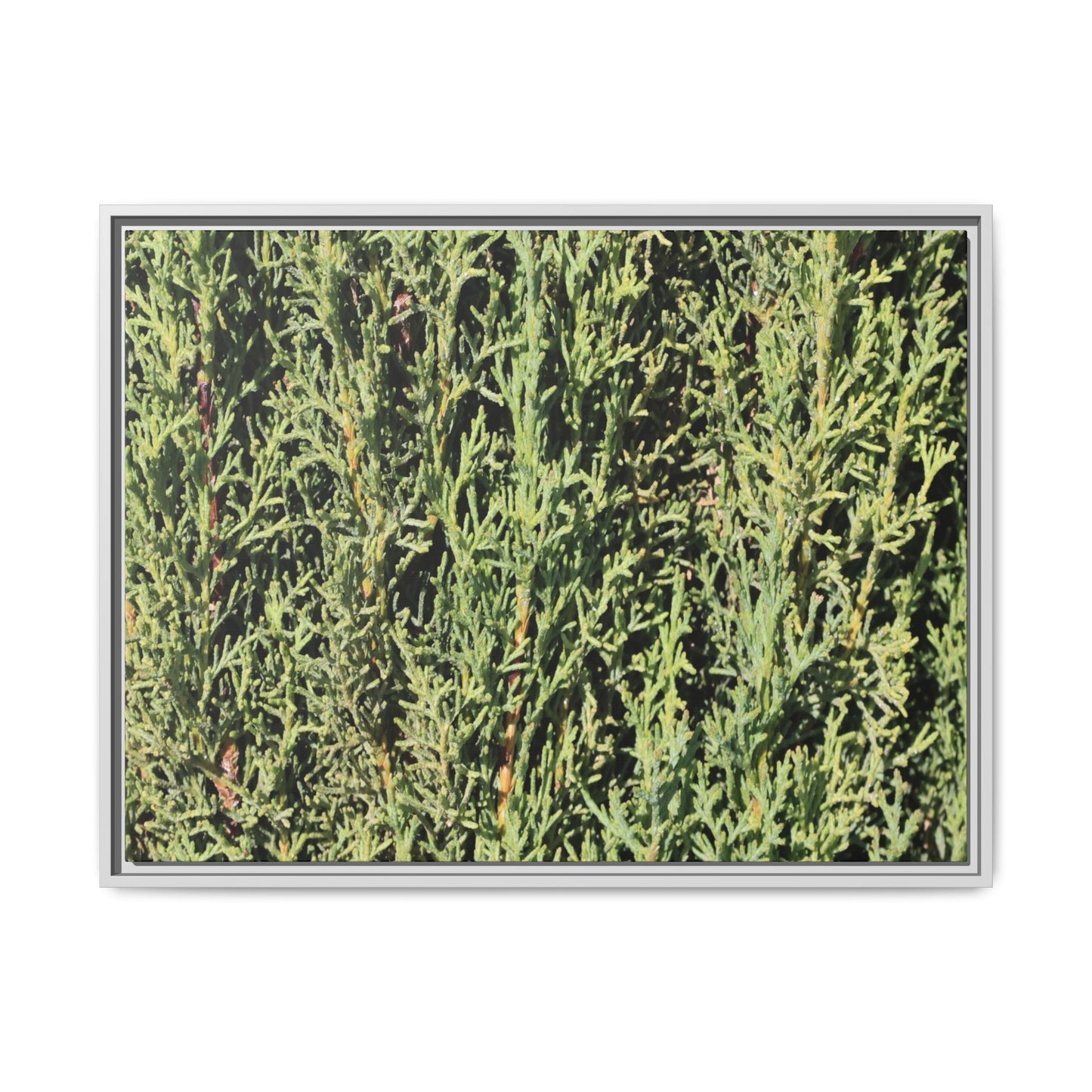 Emerald Labyrinth - Unique Stretched Canvas Wall Art - Art By Earth