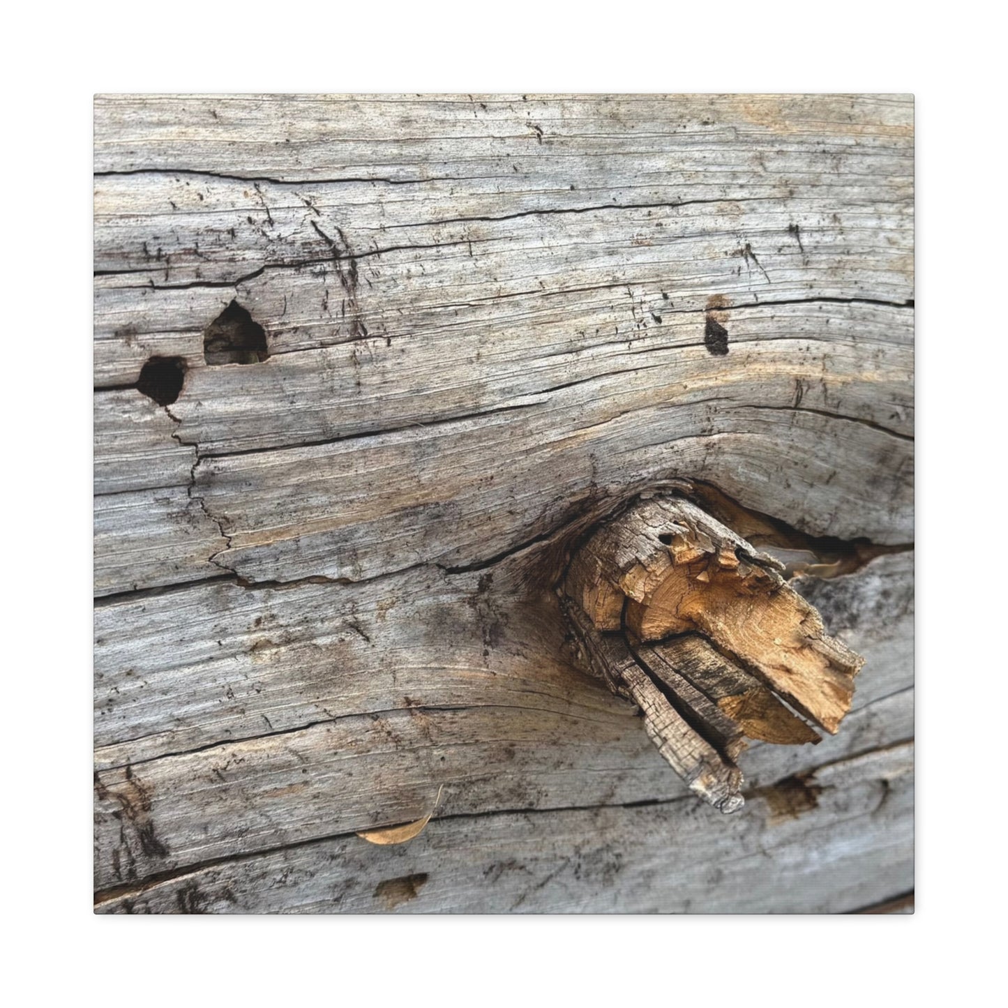 Weathered Wood Portrait - Unique Frameless Canvas Wall Art - Art By Earth