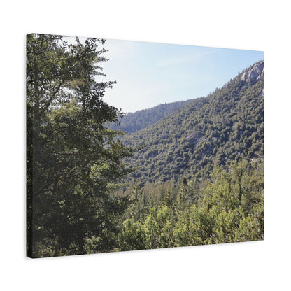 Mountain Vista Through Forest - Unique Frameless Canvas Wall Art