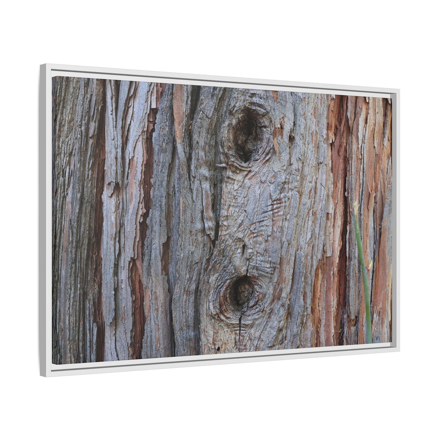 Knotty Nature - Unique Stretched Canvas Wall Art - Art By Earth