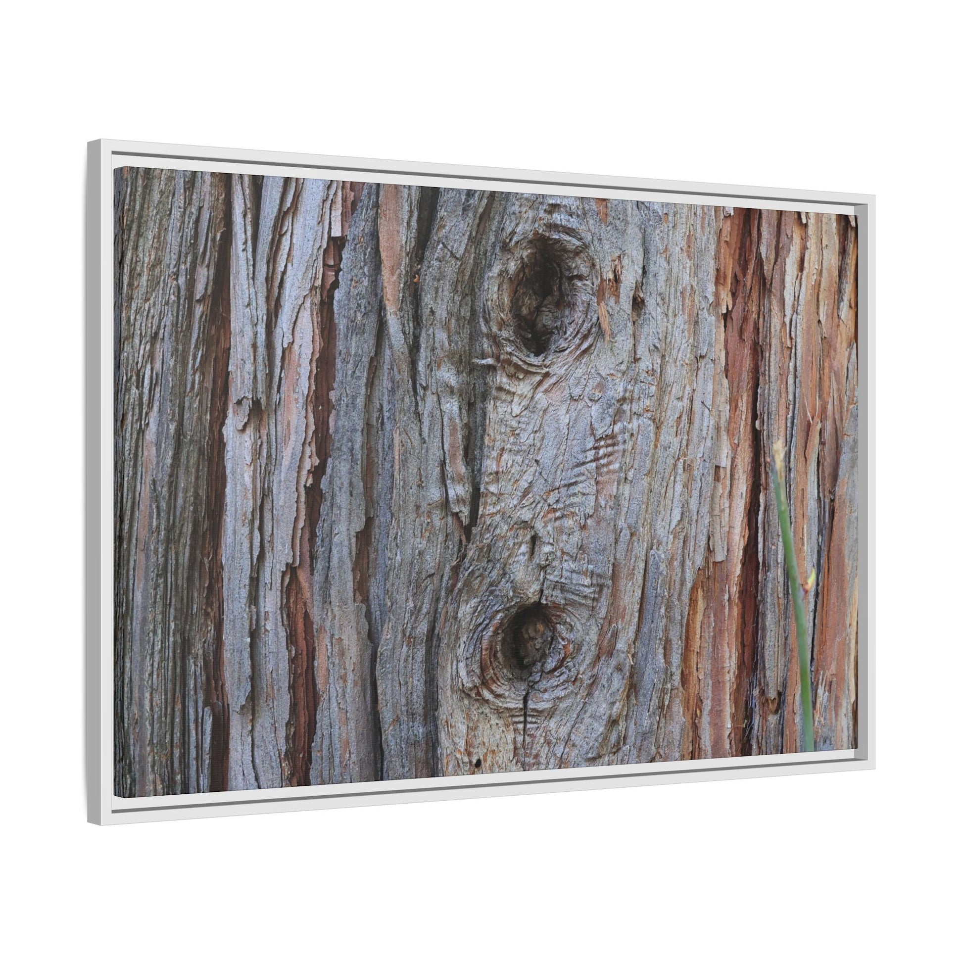 Knotty Nature - Unique Stretched Canvas Wall Art - Art By Earth