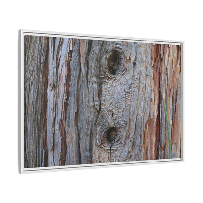 Knotty Nature - Unique Stretched Canvas Wall Art - Art By Earth