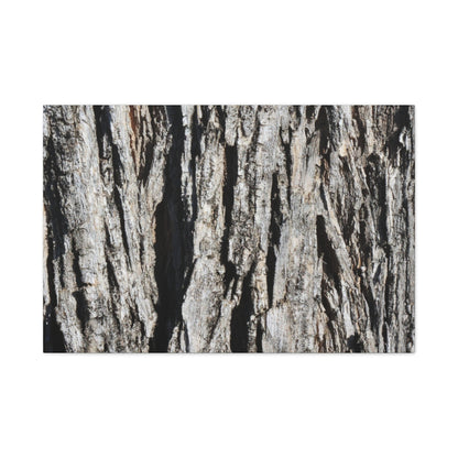 Bark Textures in Monochrome - Unique Frameless Canvas Wall Art - Art By Earth