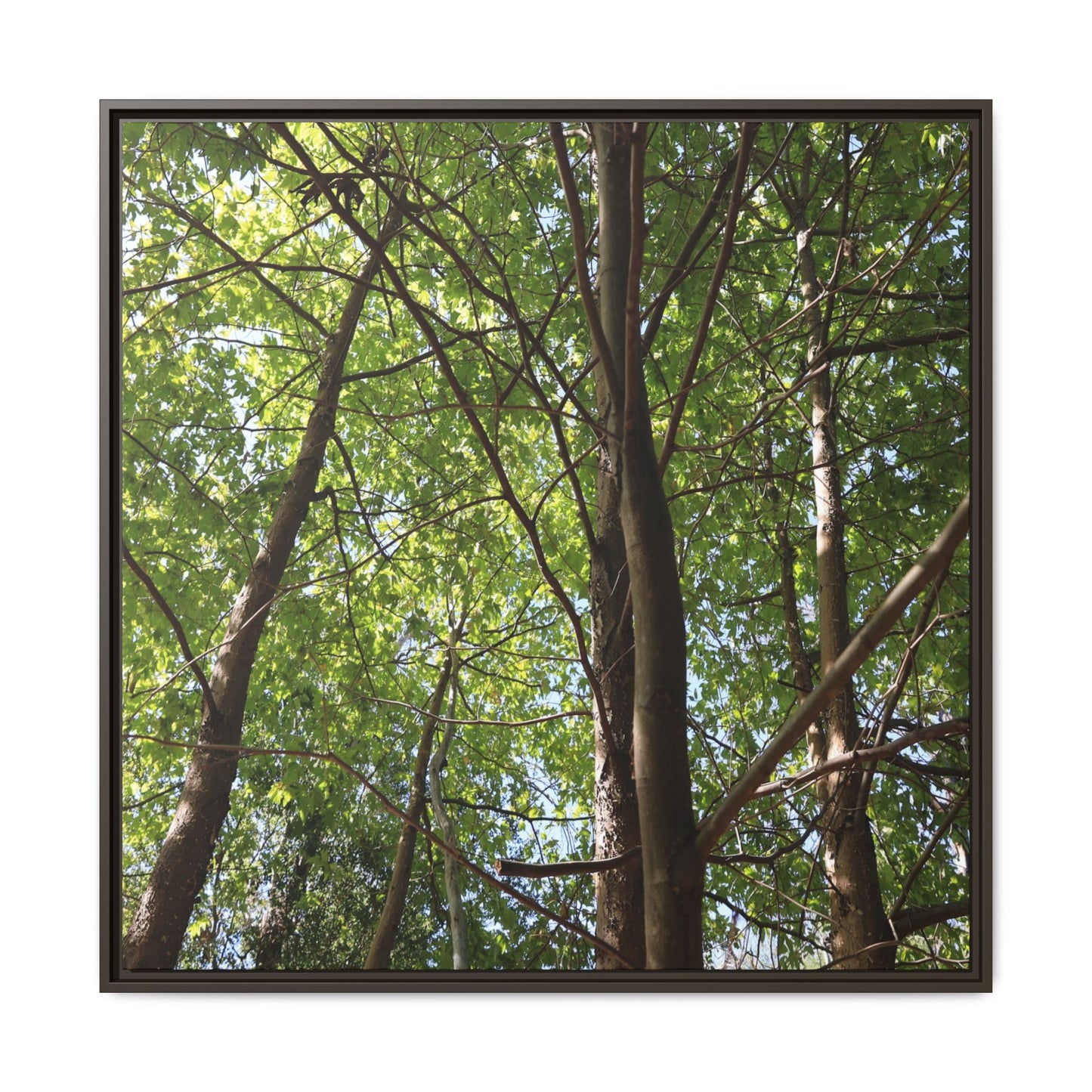 Forest Branches - Unique Stretched Canvas Wall Art