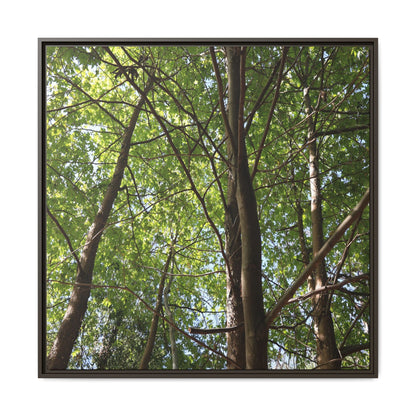 Forest Branches - Unique Stretched Canvas Wall Art