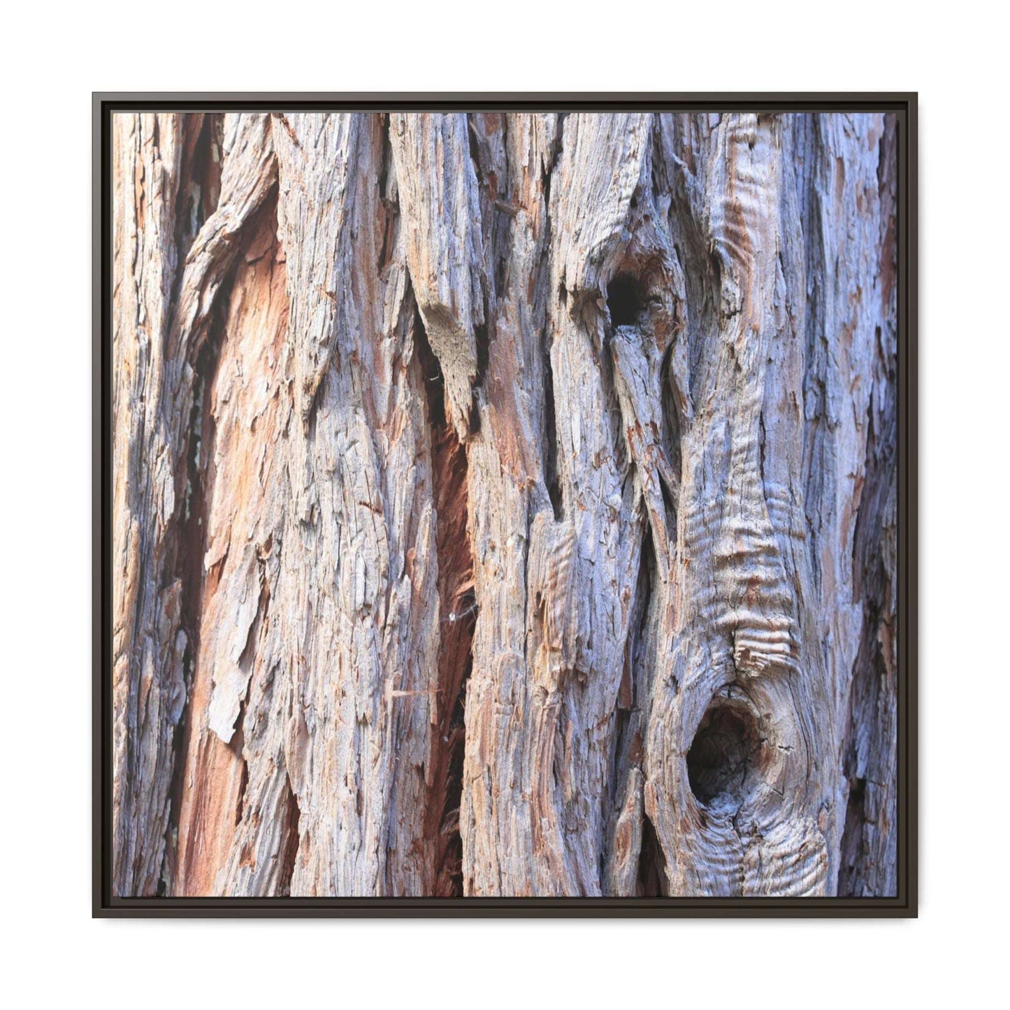 Nature's Grain - Unique Stretched Canvas Wall Art - Art By Earth