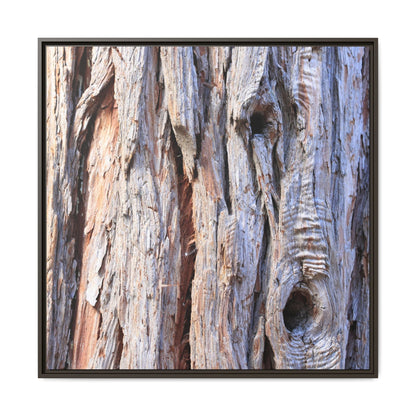 Nature's Grain - Unique Stretched Canvas Wall Art - Art By Earth