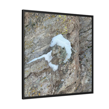 Lichen's Embrace - Unique Stretched Canvas Wall Art