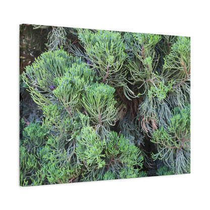 Green Labyrinth - Unique Frameless Canvas Wall Art - Art By Earth