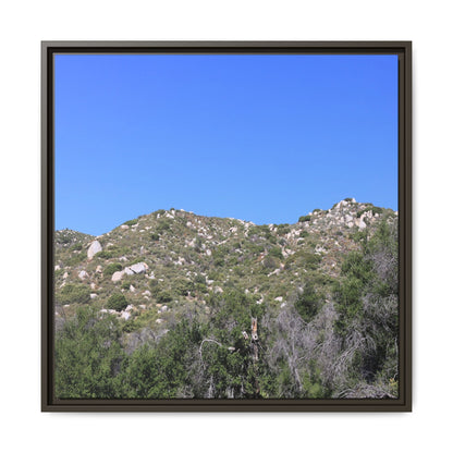 Sparse Vegetation - Unique Stretched Canvas Wall Art