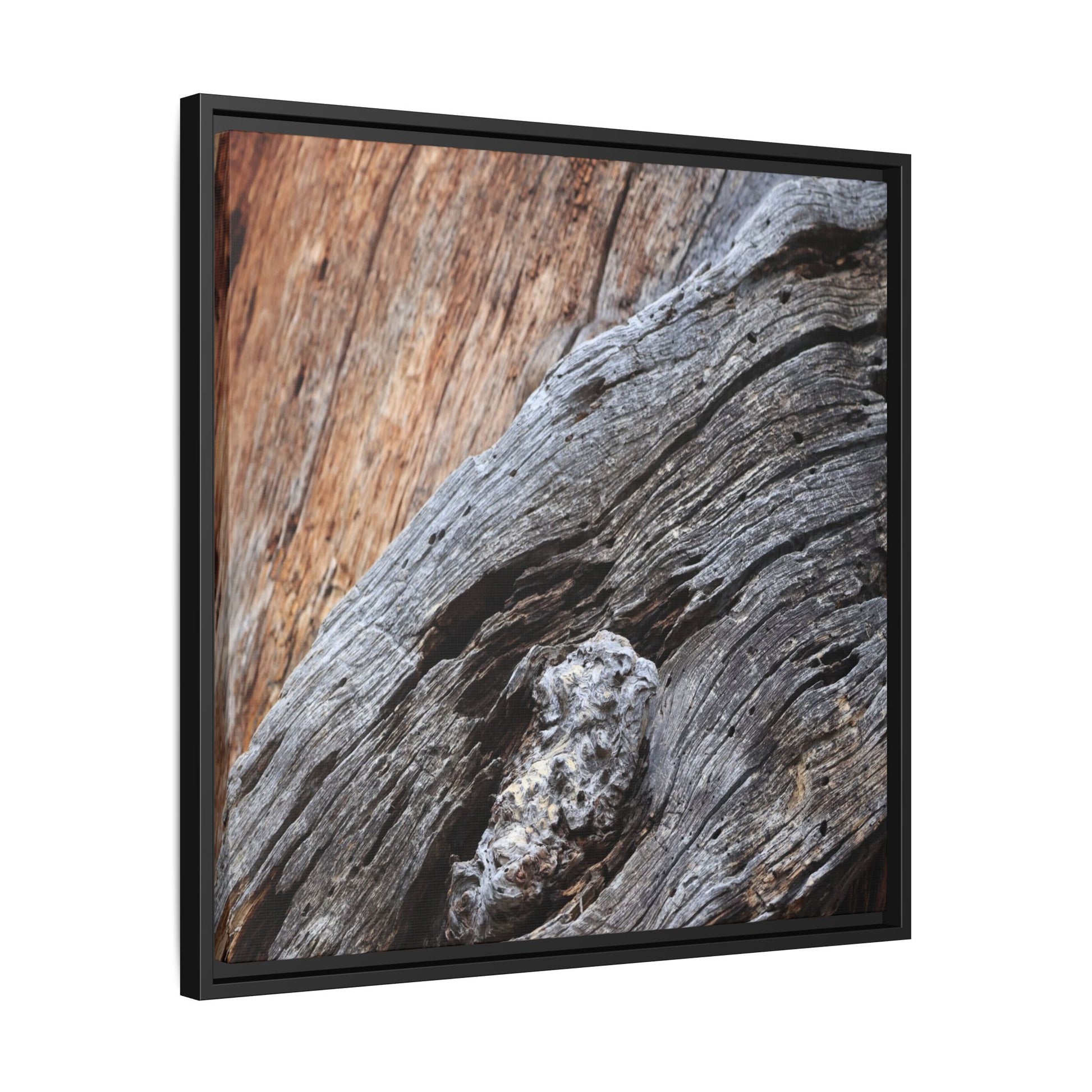 Time's Mark on Timber - Unique Stretched Canvas Wall Art - Art By Earth