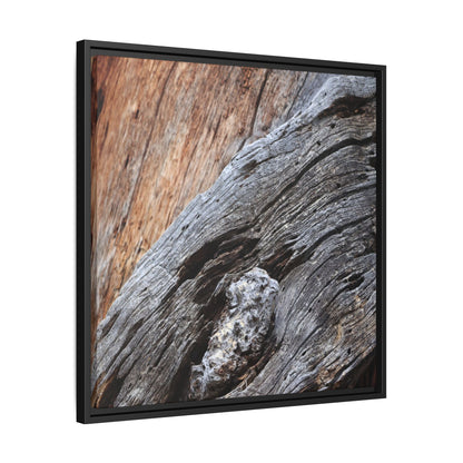 Time's Mark on Timber - Unique Stretched Canvas Wall Art - Art By Earth
