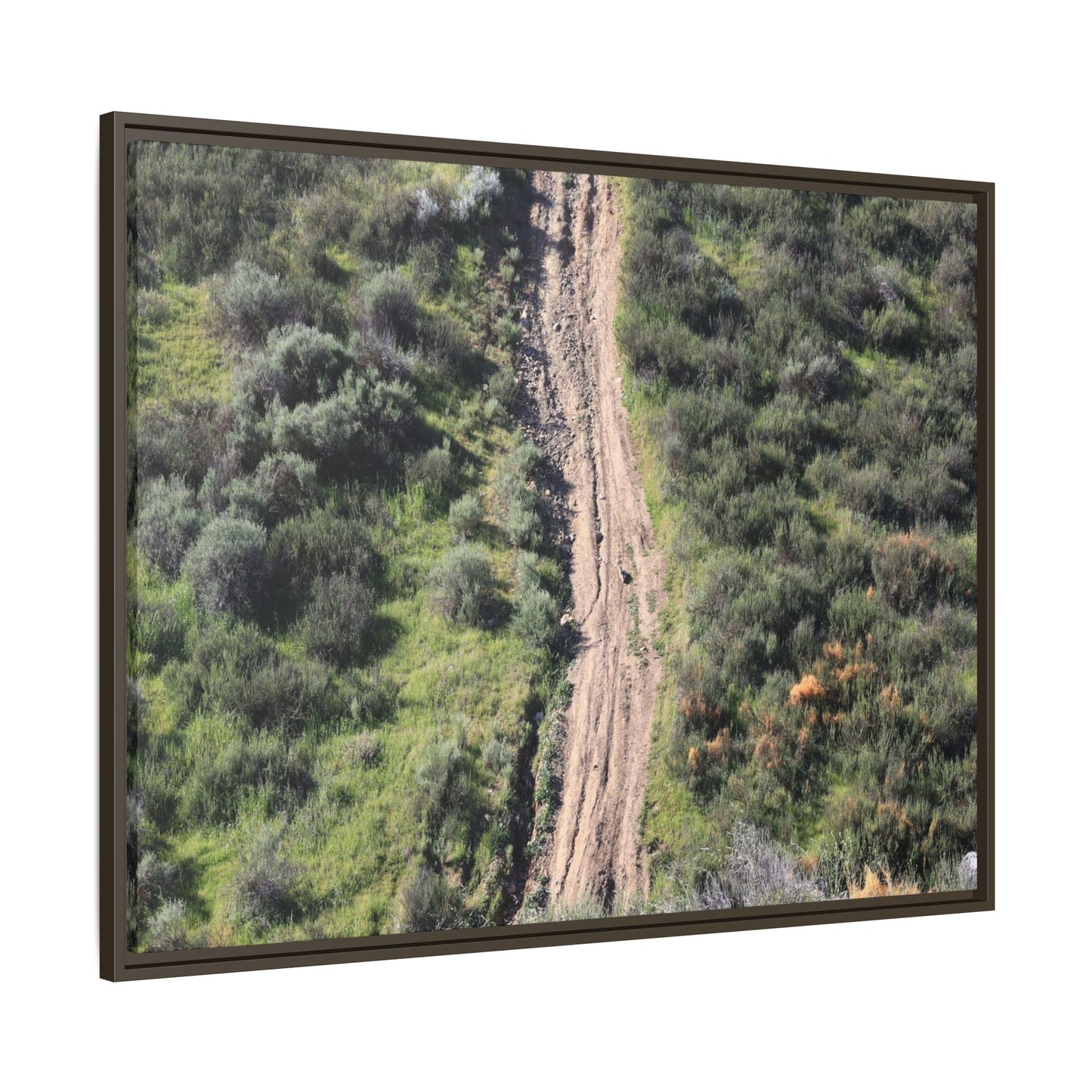 Desert Path Through Sage - Unique Stretched Canvas Wall Art - Art By Earth