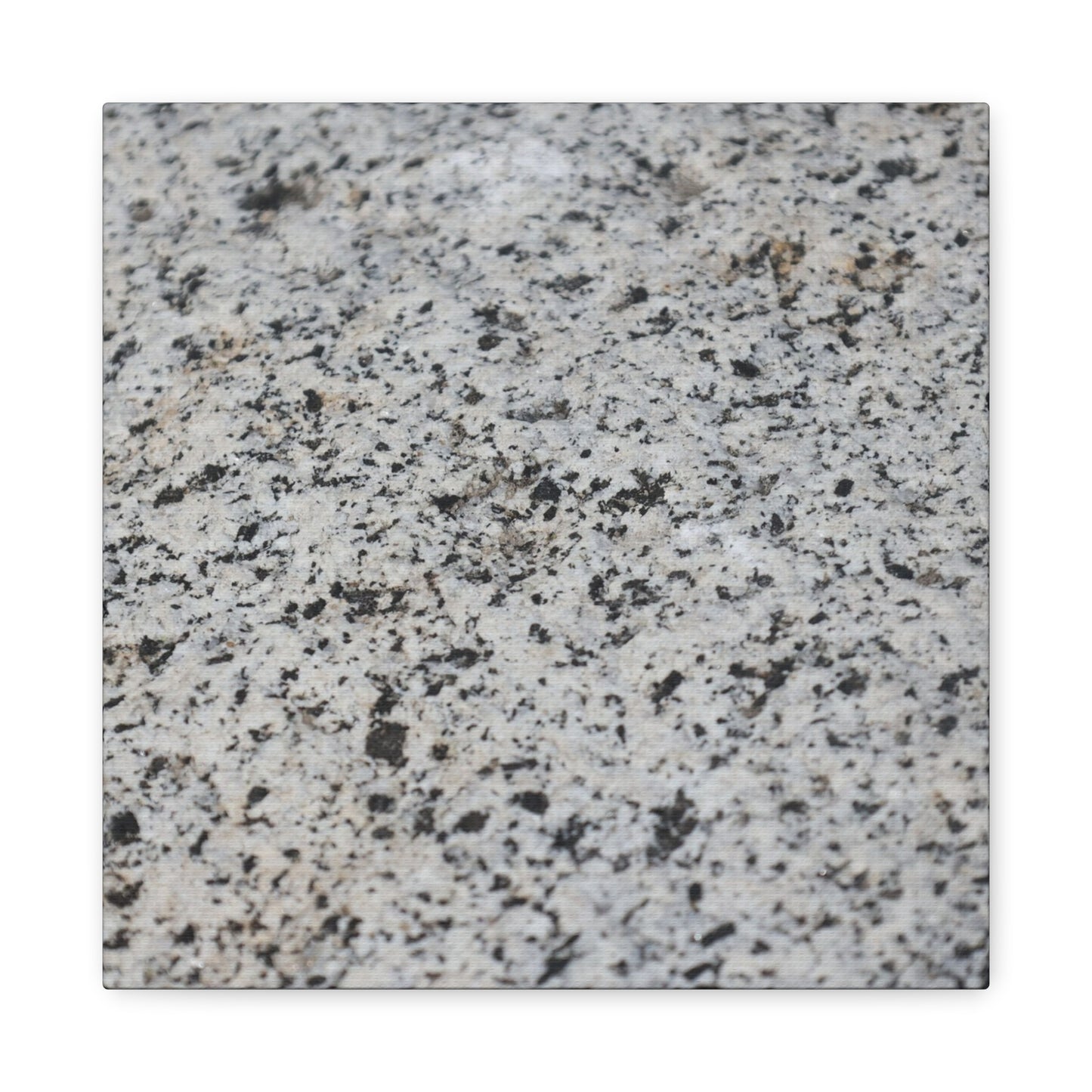 Speckled Silence - Unique Frameless Canvas Wall Art - Art By Earth