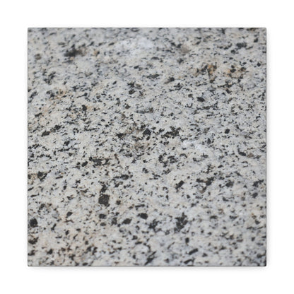 Speckled Silence - Unique Frameless Canvas Wall Art - Art By Earth