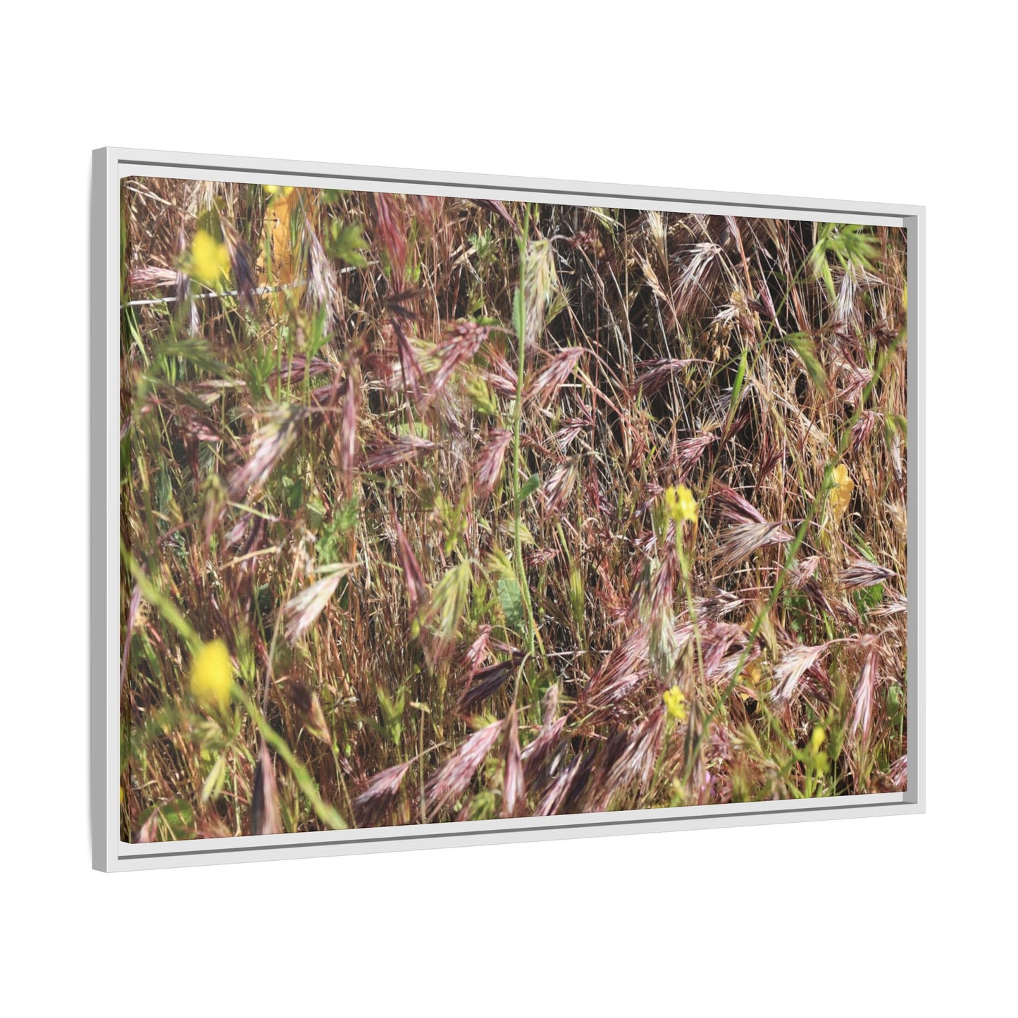 Autumn Meadow - Unique Stretched Canvas Wall Art - Art By Earth
