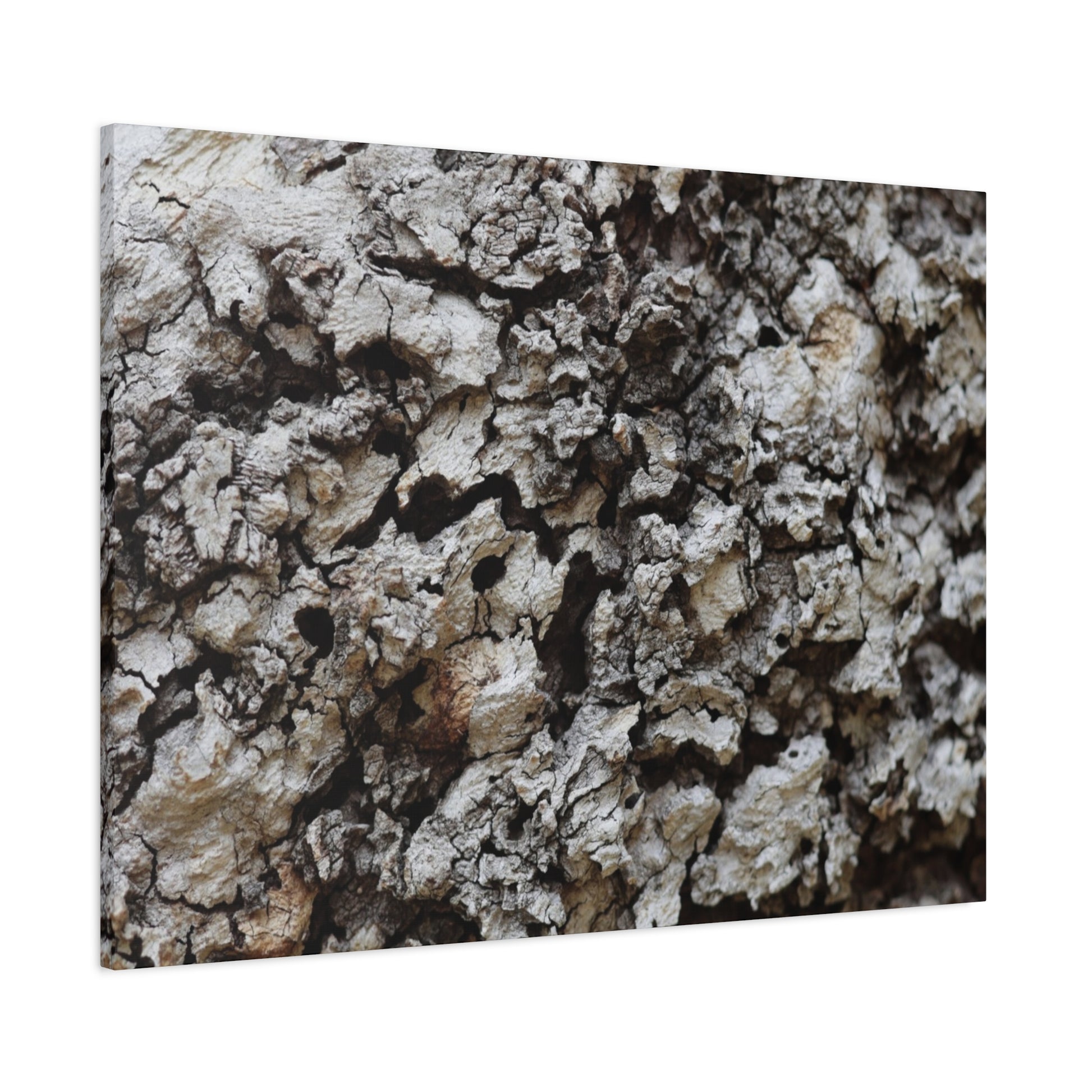 Cracked Earth Tapestry - Unique Frameless Canvas Wall Art - Art By Earth