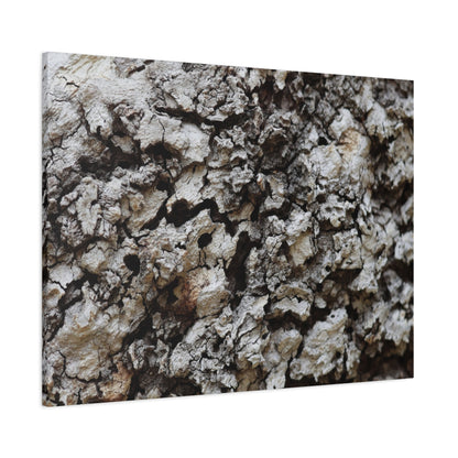 Cracked Earth Tapestry - Unique Frameless Canvas Wall Art - Art By Earth