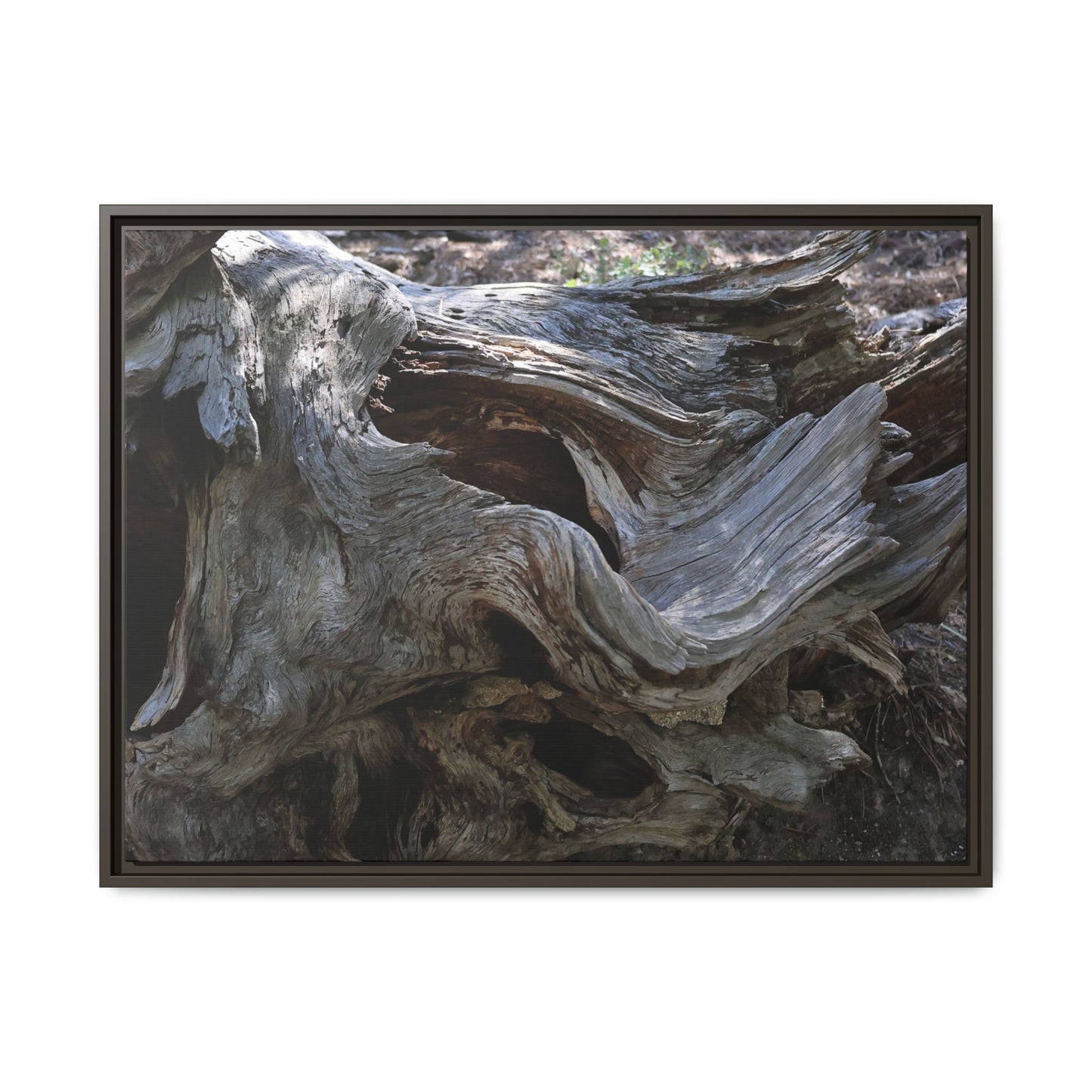 Twisted Memories - Unique Stretched Canvas Wall Art - Art By Earth