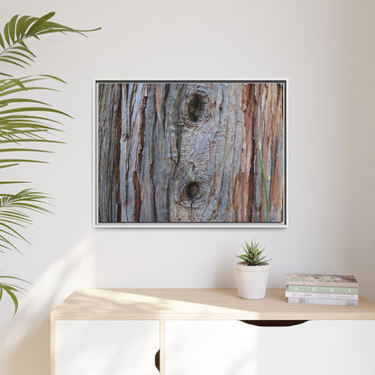 Knotty Nature - Unique Stretched Canvas Wall Art - Art By Earth