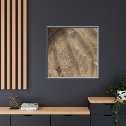 Tidal Pool Secrets - Unique Stretched Canvas Wall Art - Art By Earth
