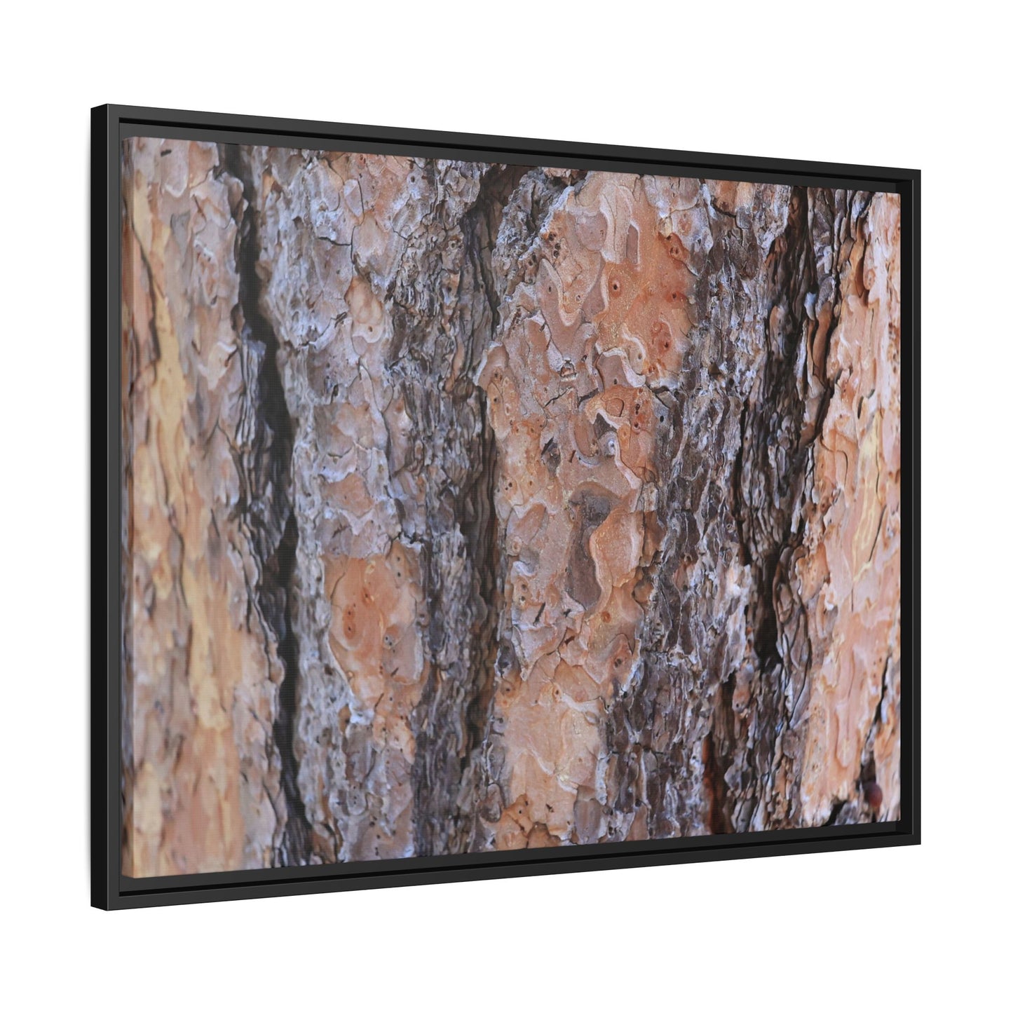 Earthy Embrace - Unique Stretched Canvas Wall Art - Art By Earth