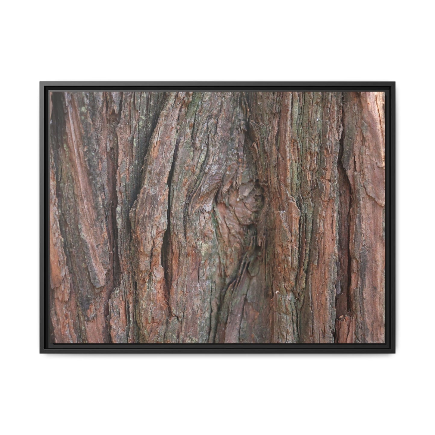 Rugged Textures - Unique Stretched Canvas Wall Art - Art By Earth