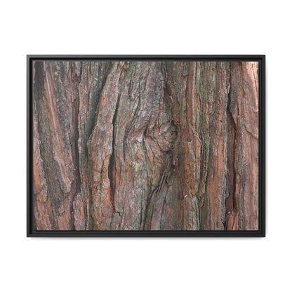 Rugged Textures - Unique Stretched Canvas Wall Art - Art By Earth